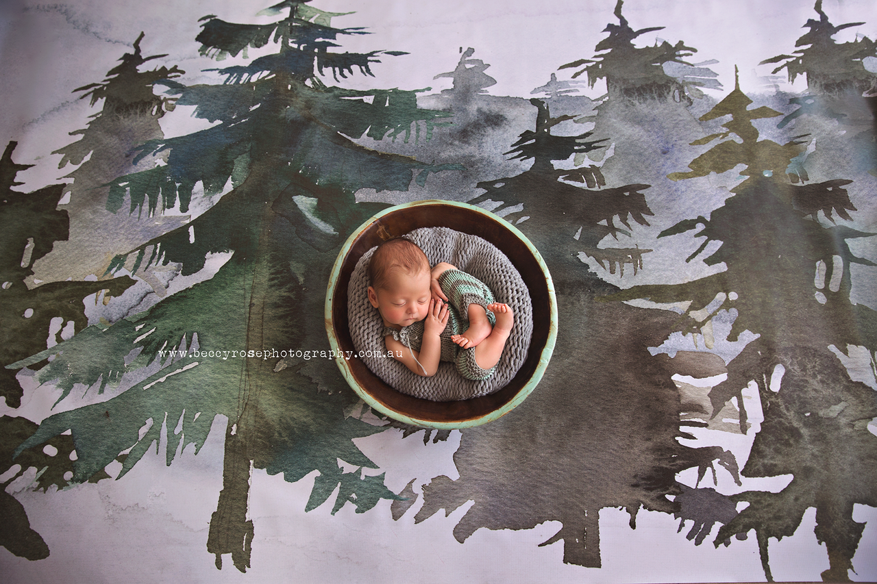 The Pines