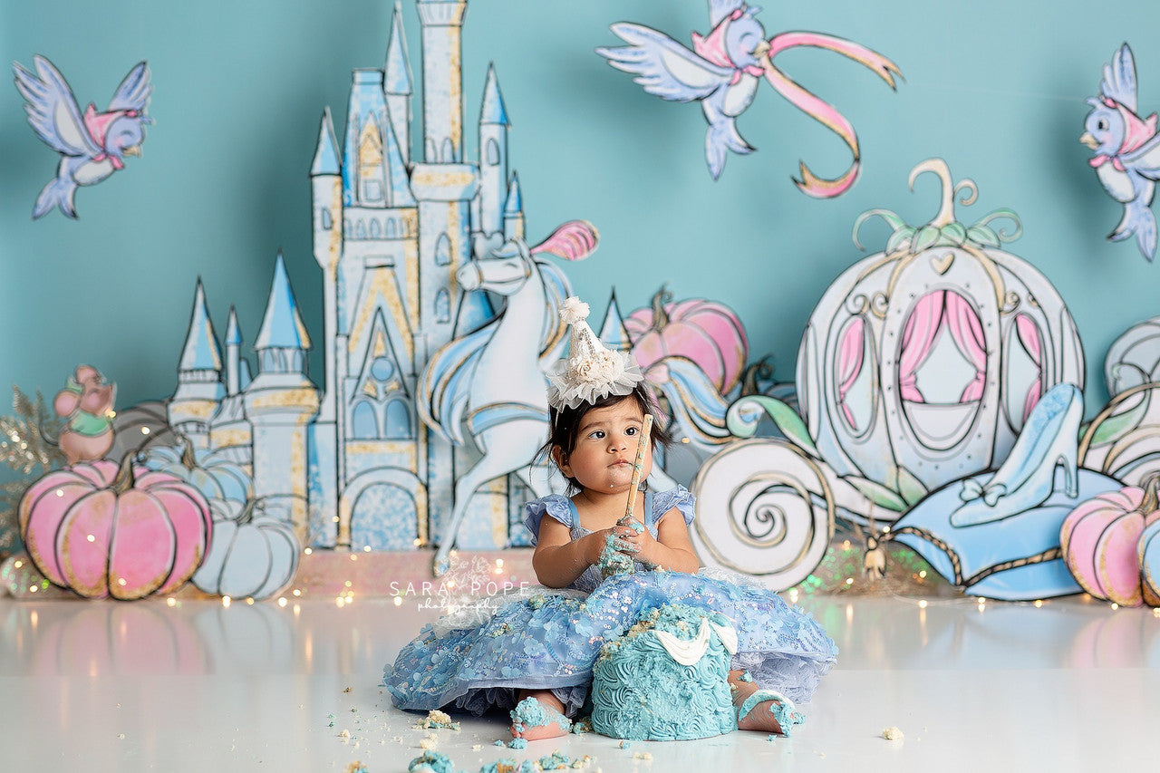 Cinderella Inspired