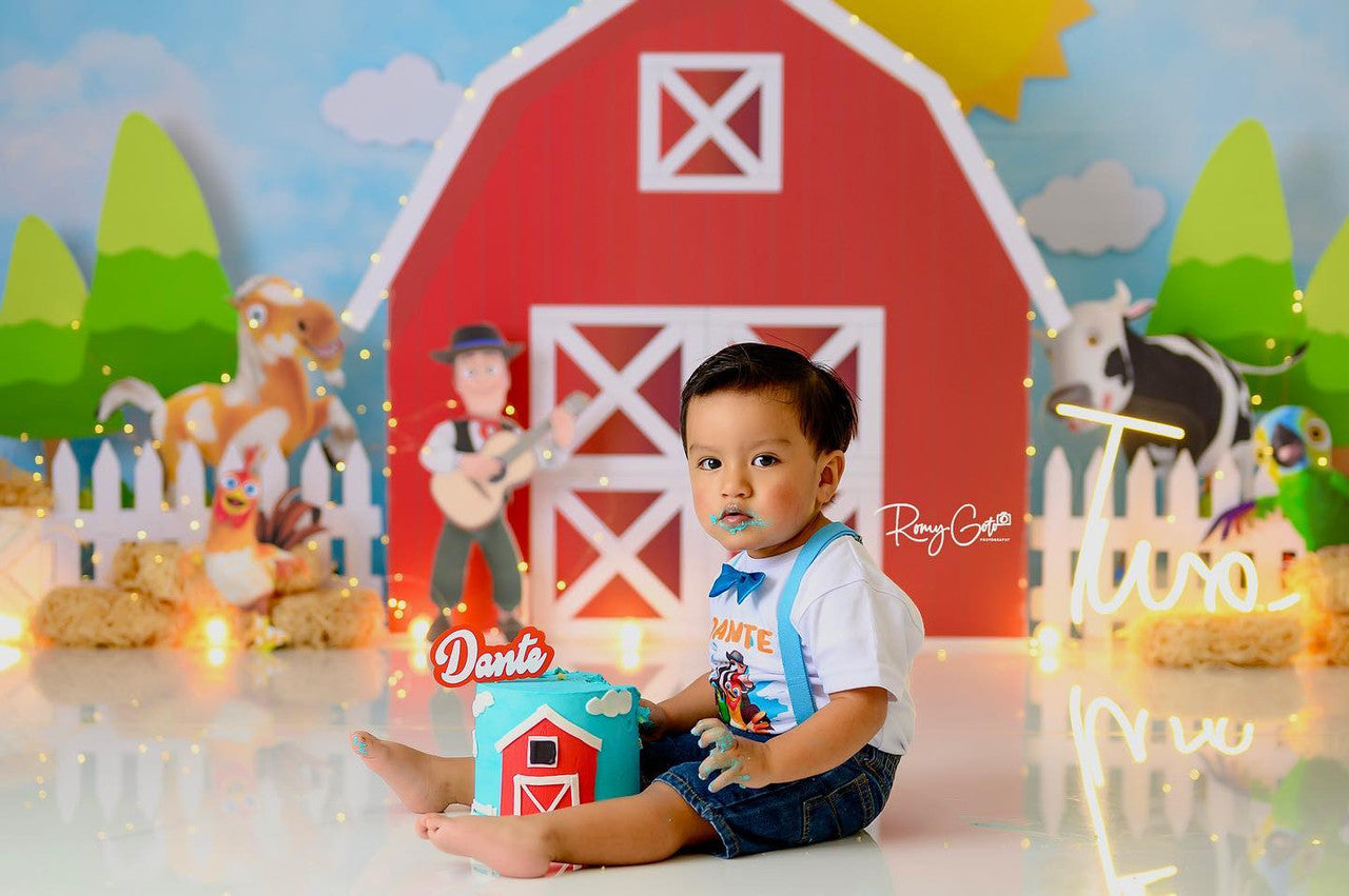 Sunny Red Barn