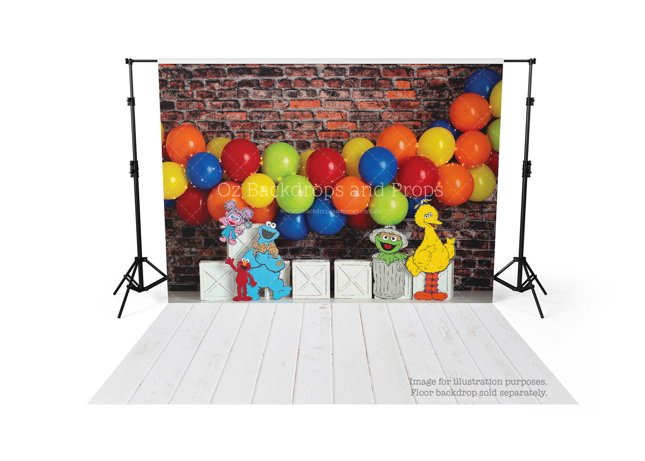 Sesame Street Brick