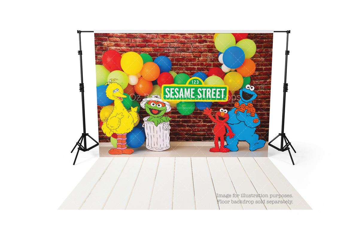 Sesame Street Deluxe