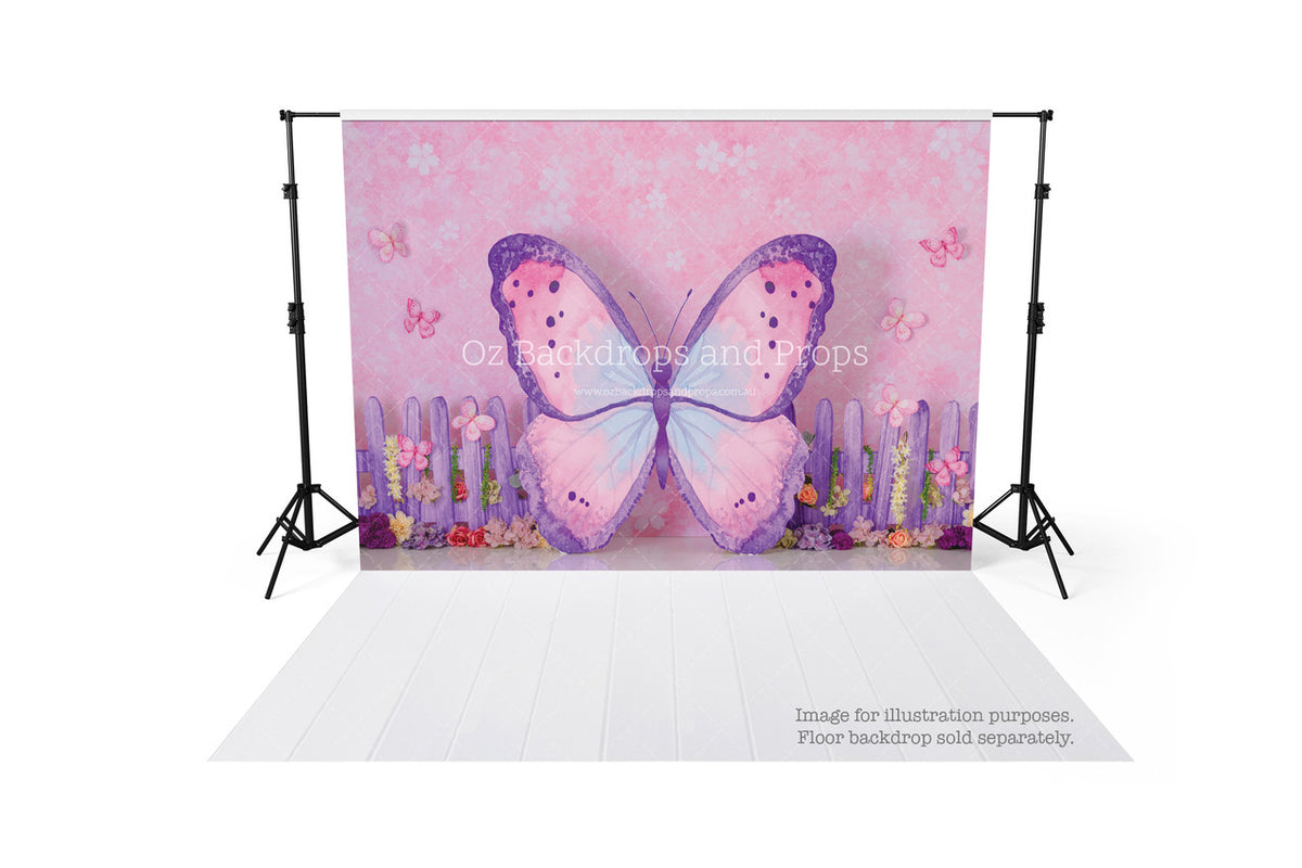Papillon Princess