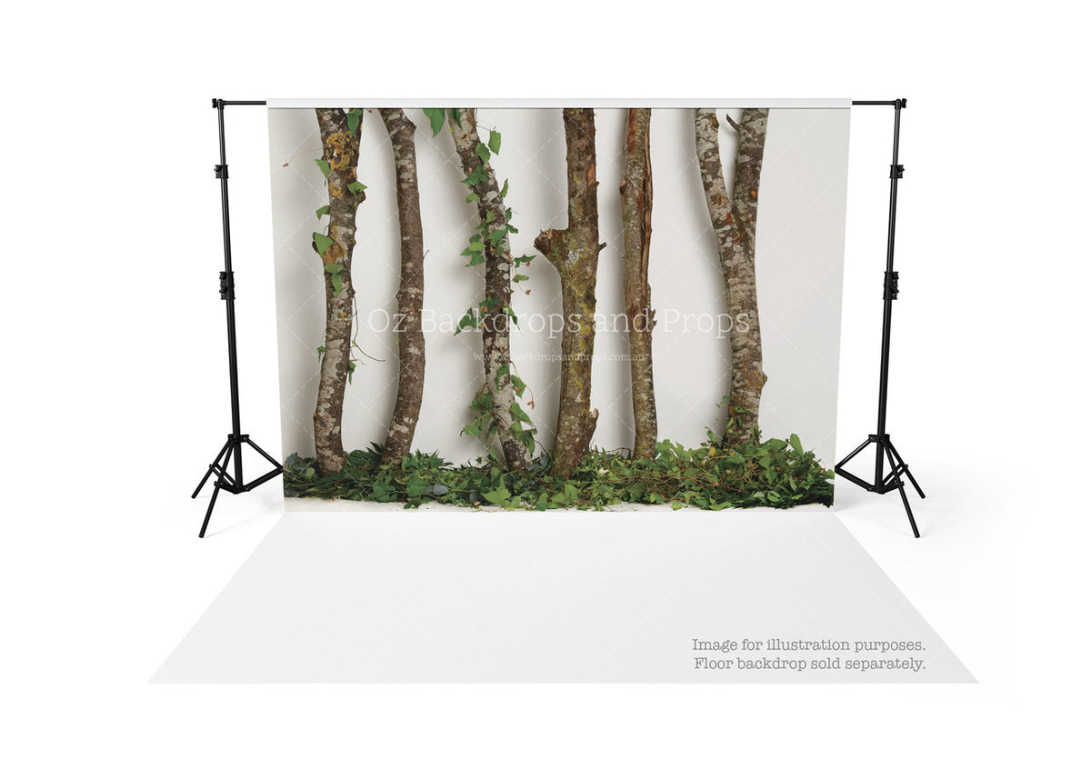 Birch Greenery