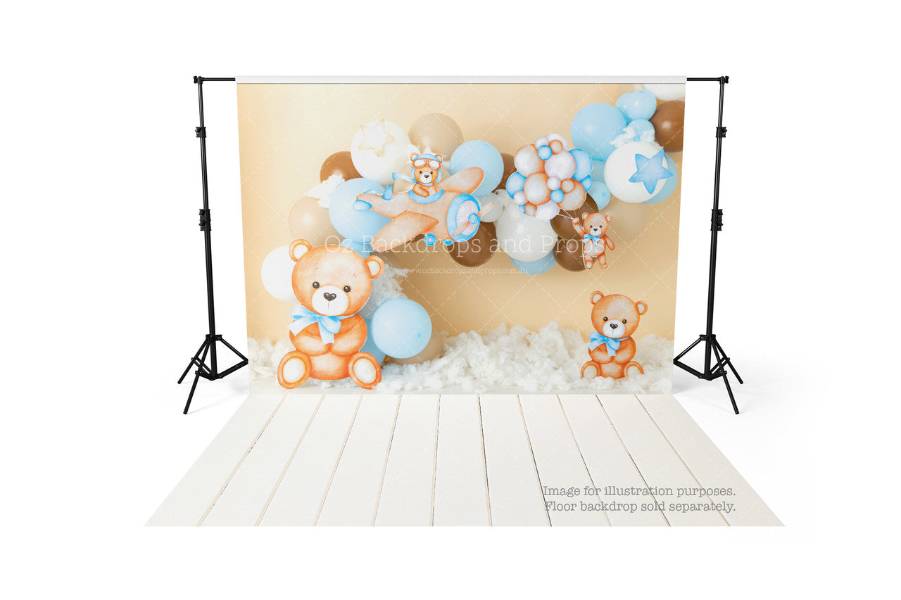 Teddy Adventure