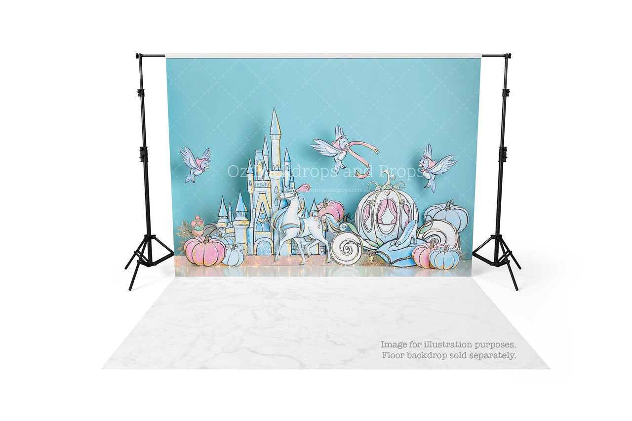 Cinderella Inspired