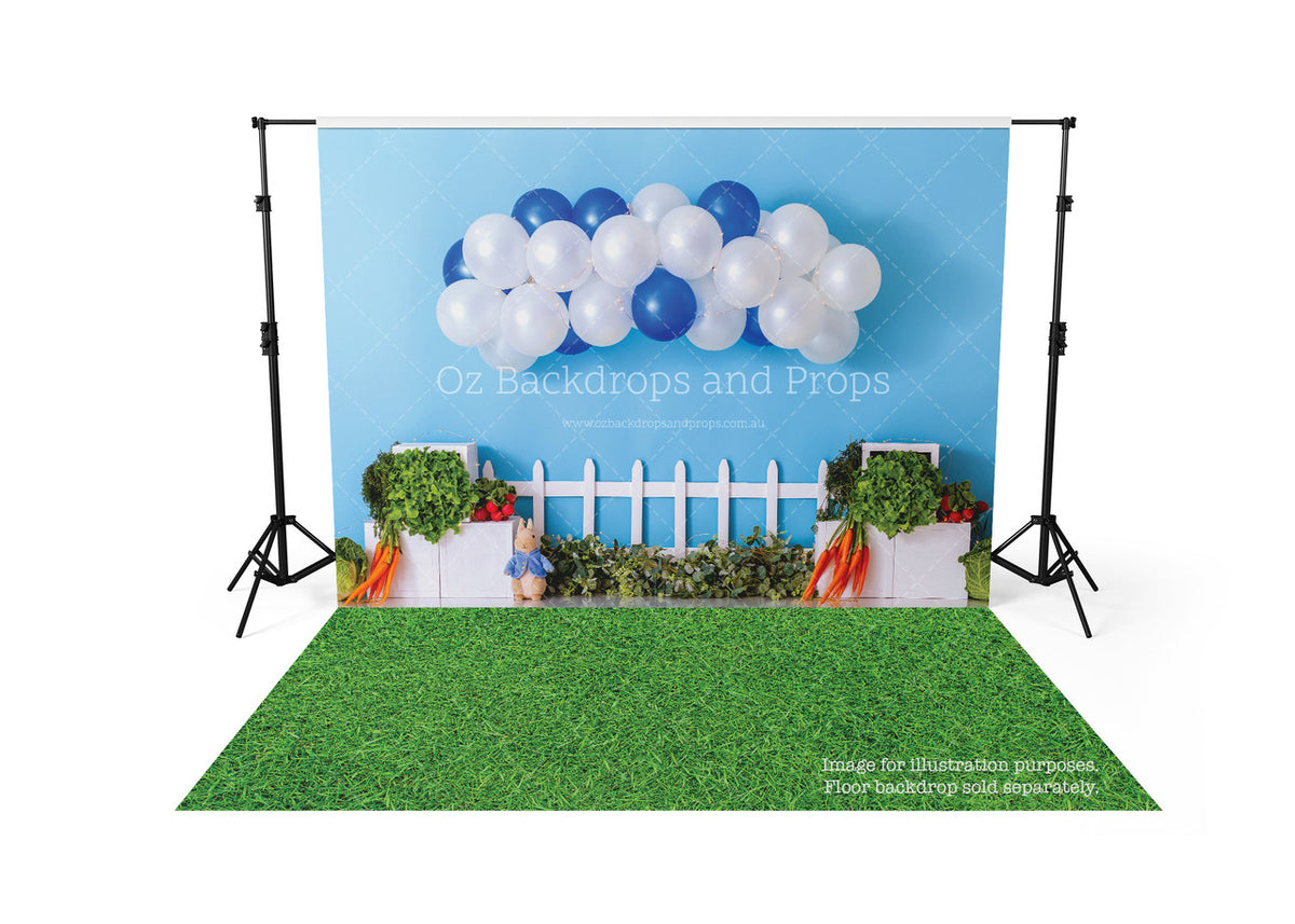 Peter Rabbit Balloons