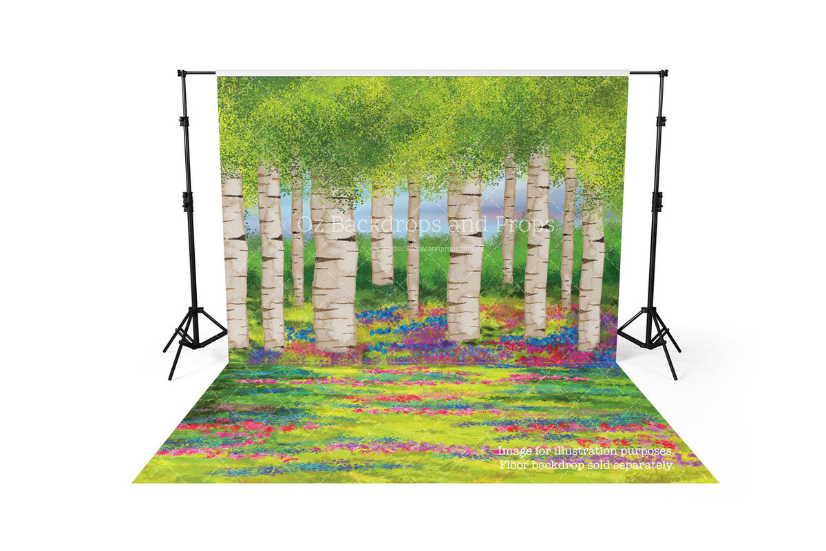 Spring Forest Floor