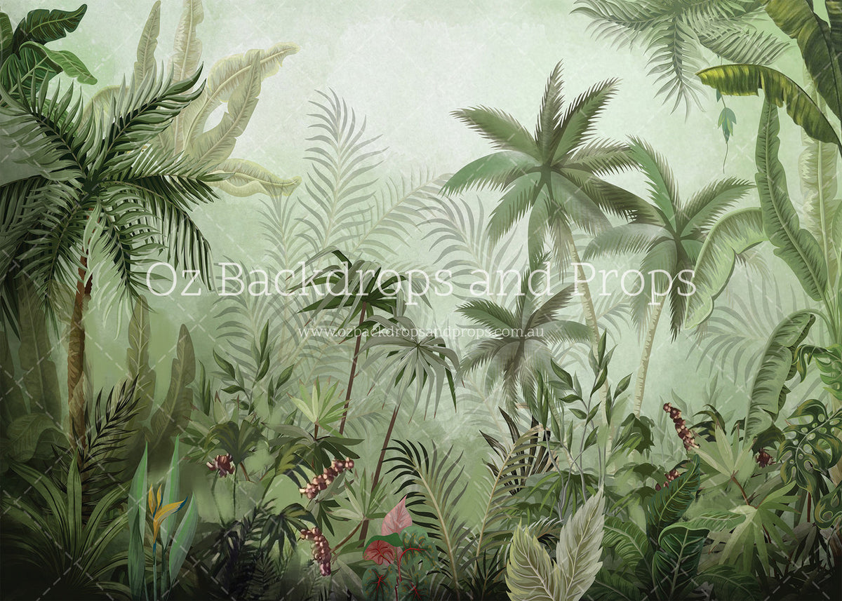 Amazonia