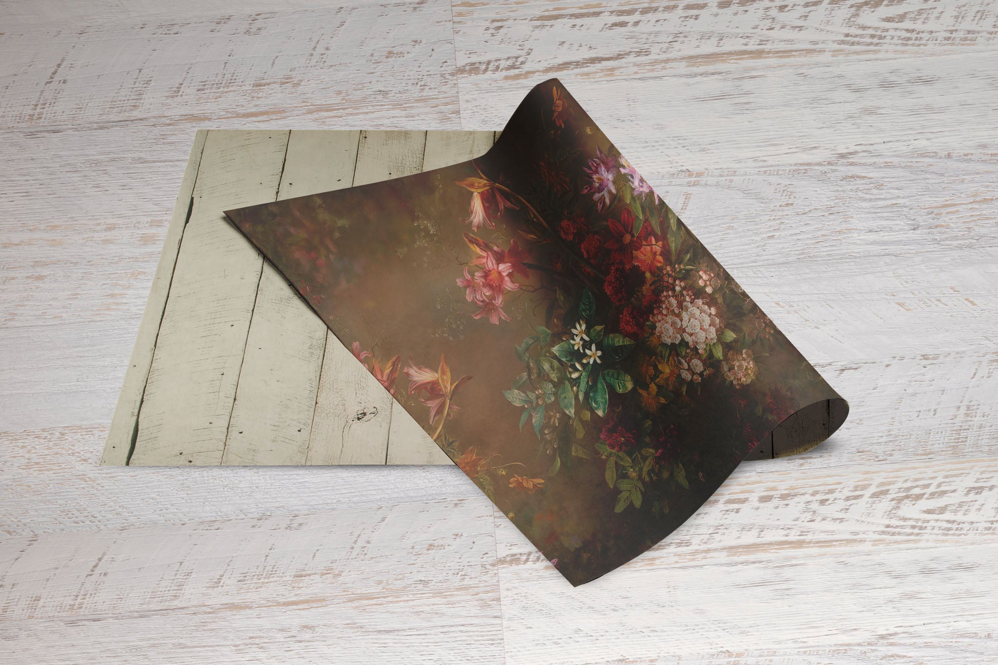 Oz Backdrops & Props