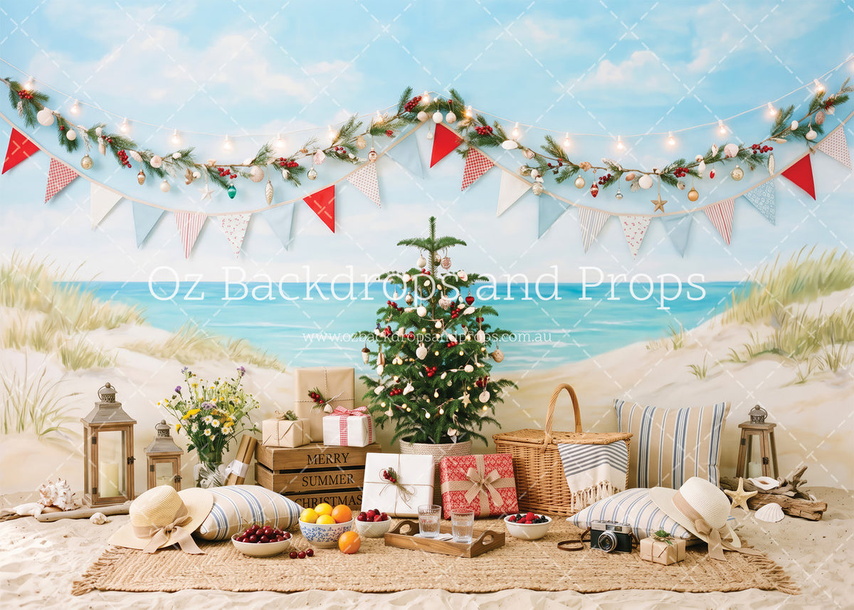Beach Christmas Picnic