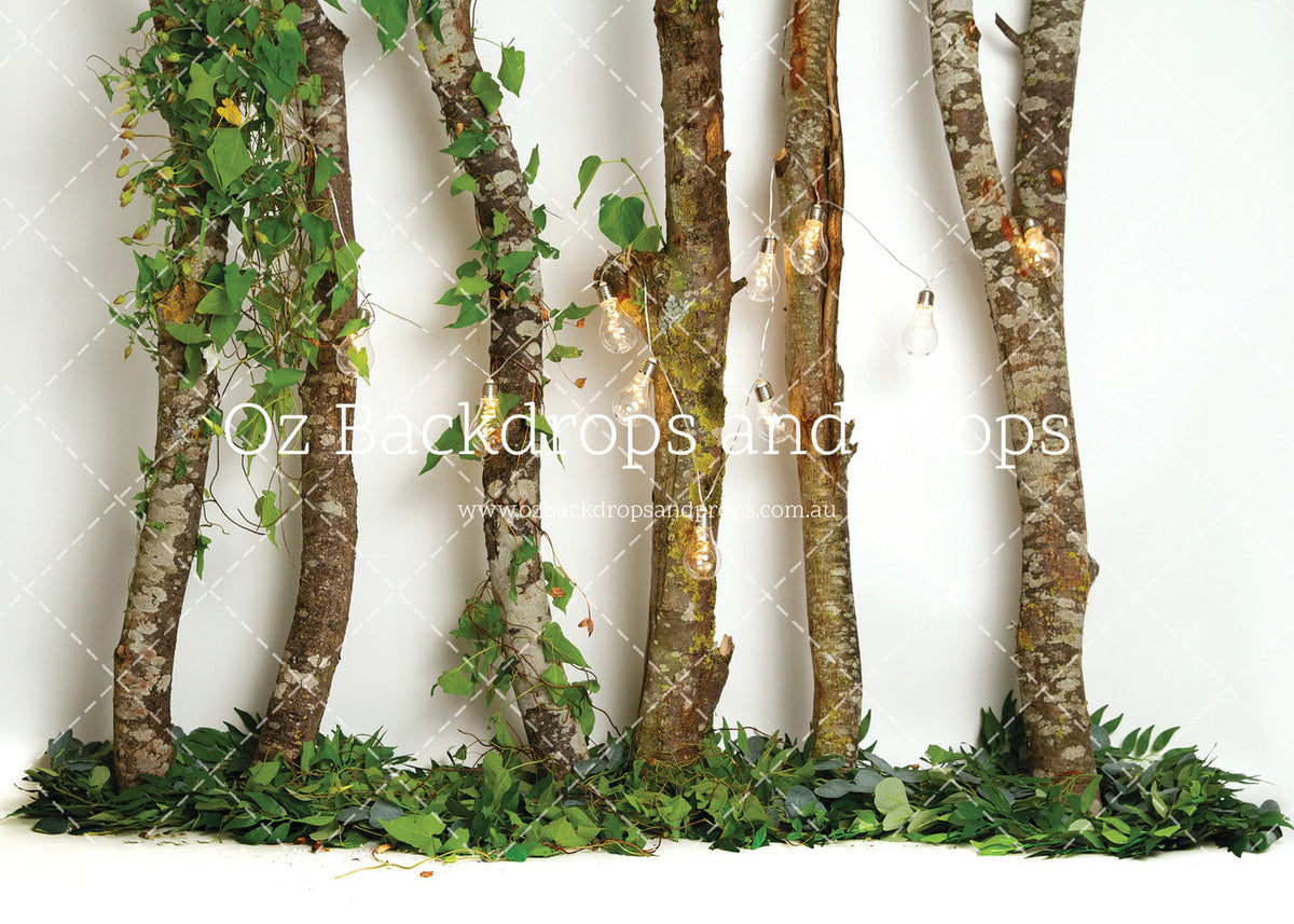 Birch All Lit Up