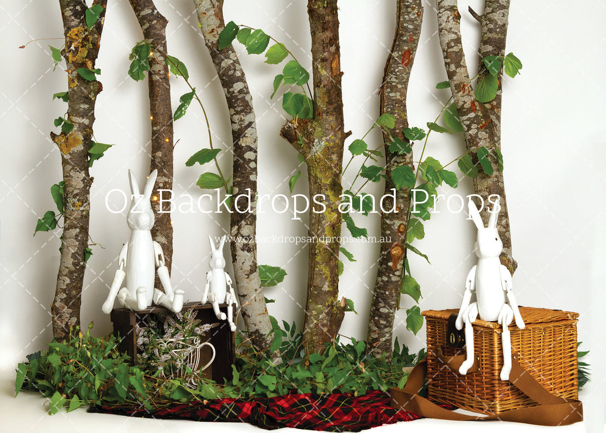 Birch Bunnies
