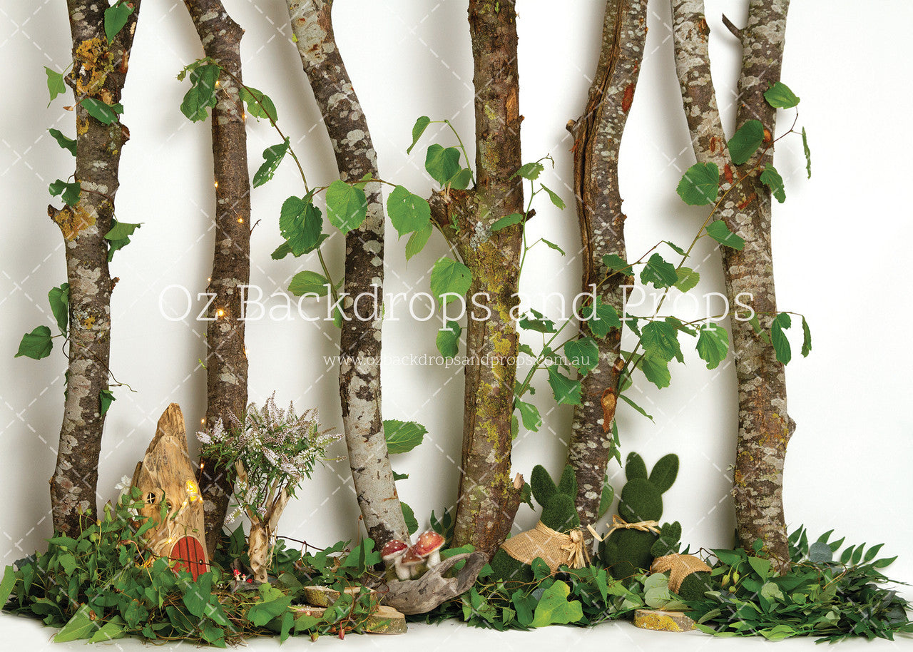 Birch Forest Friends