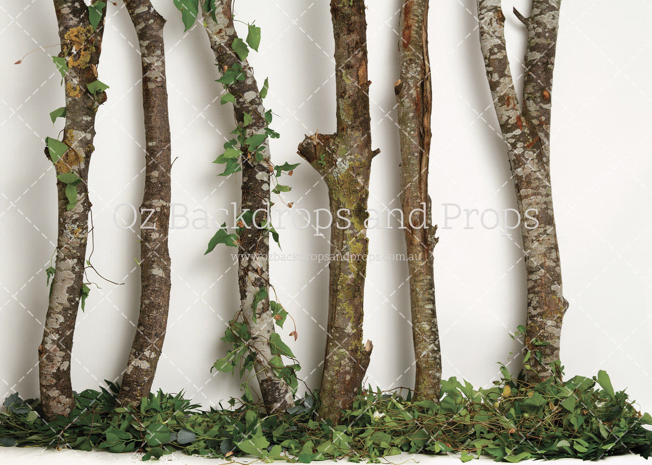 Birch Greenery