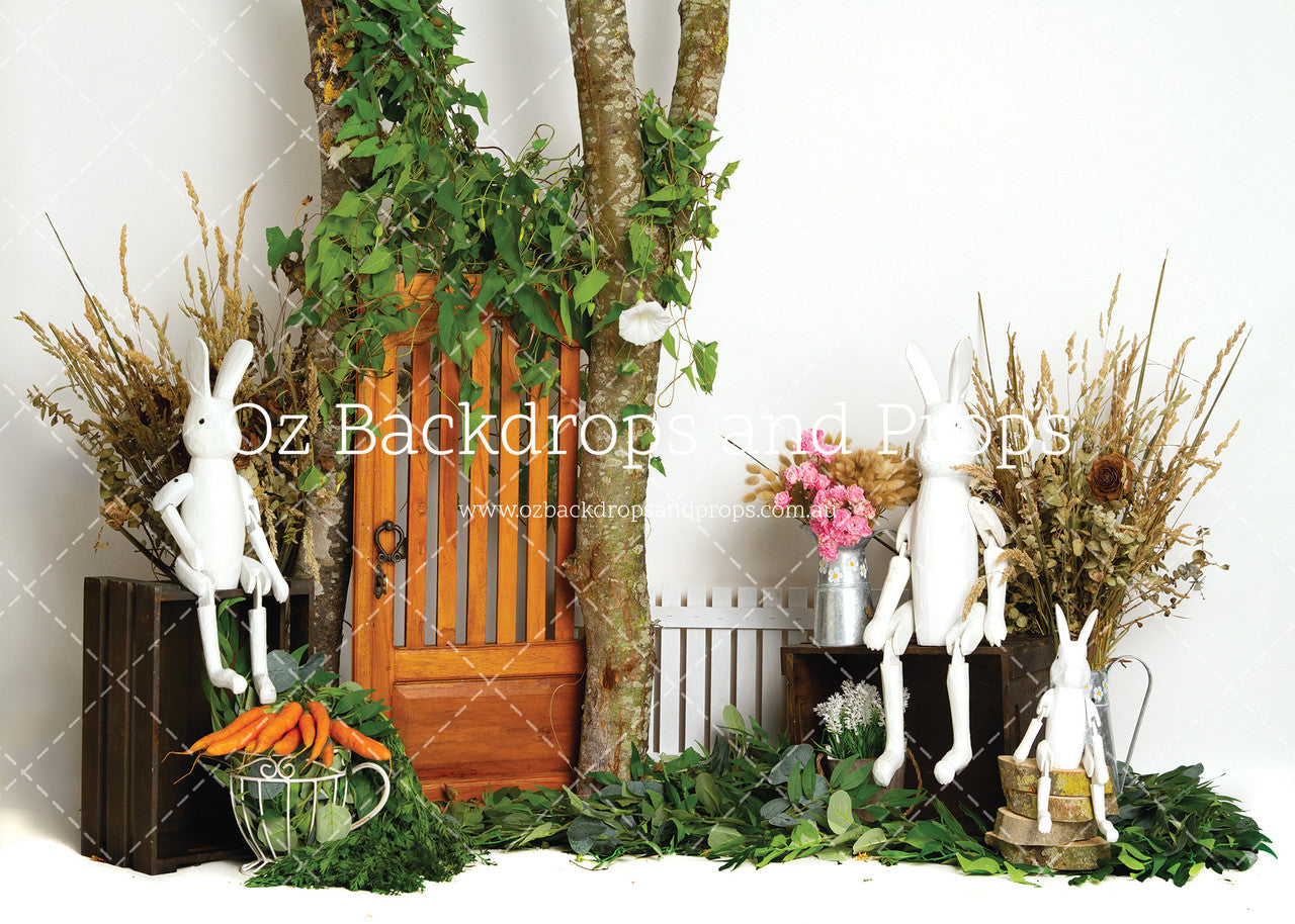 Birch Secret Door