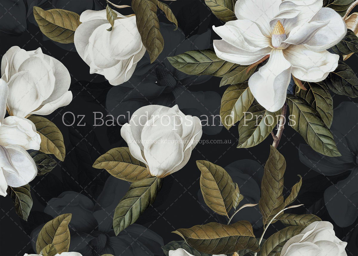 Black Magnolia Part Two