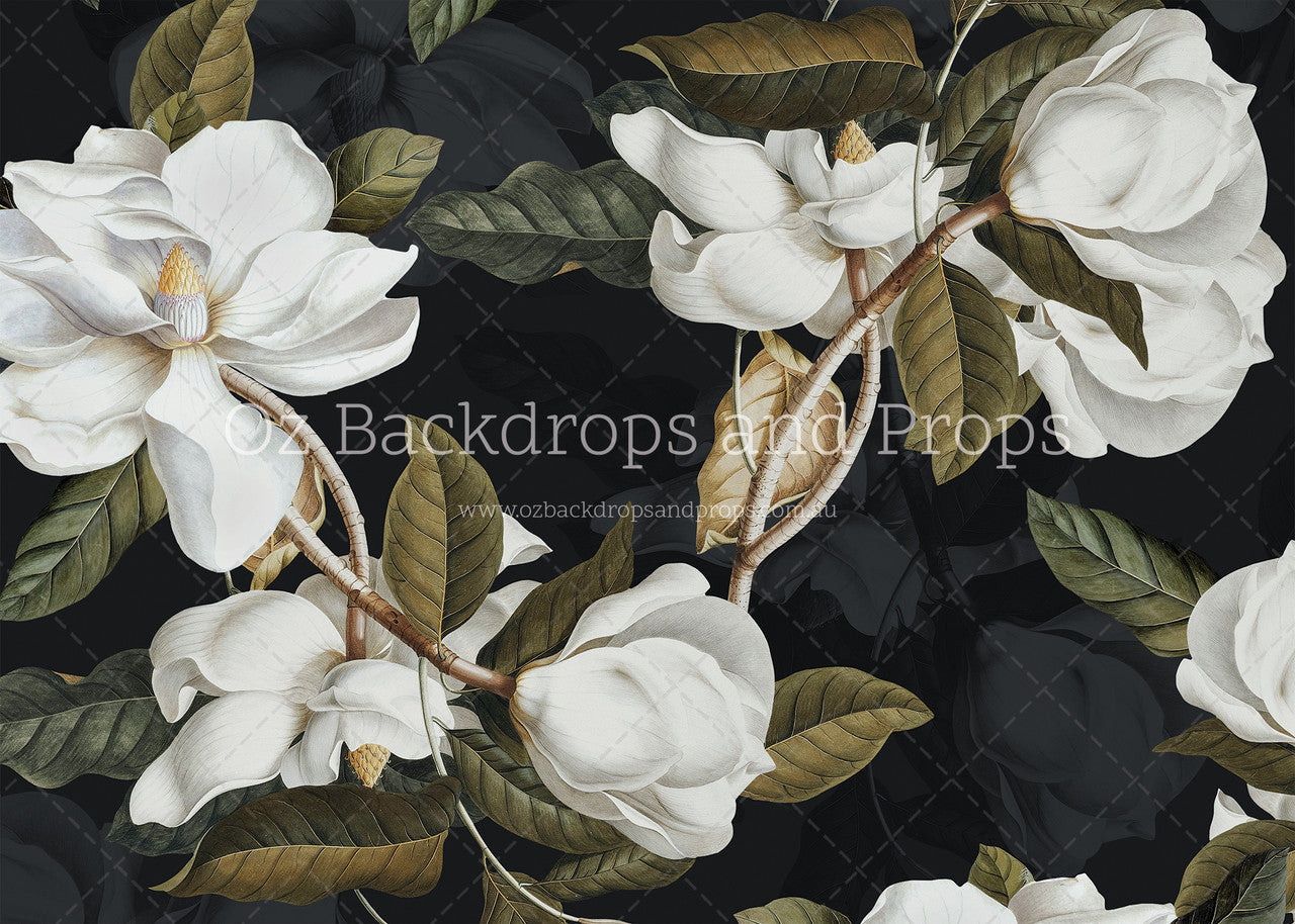 Black Magnolia Part One