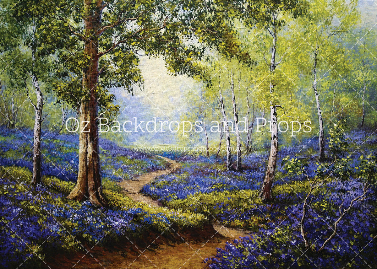 Bluebell Woods