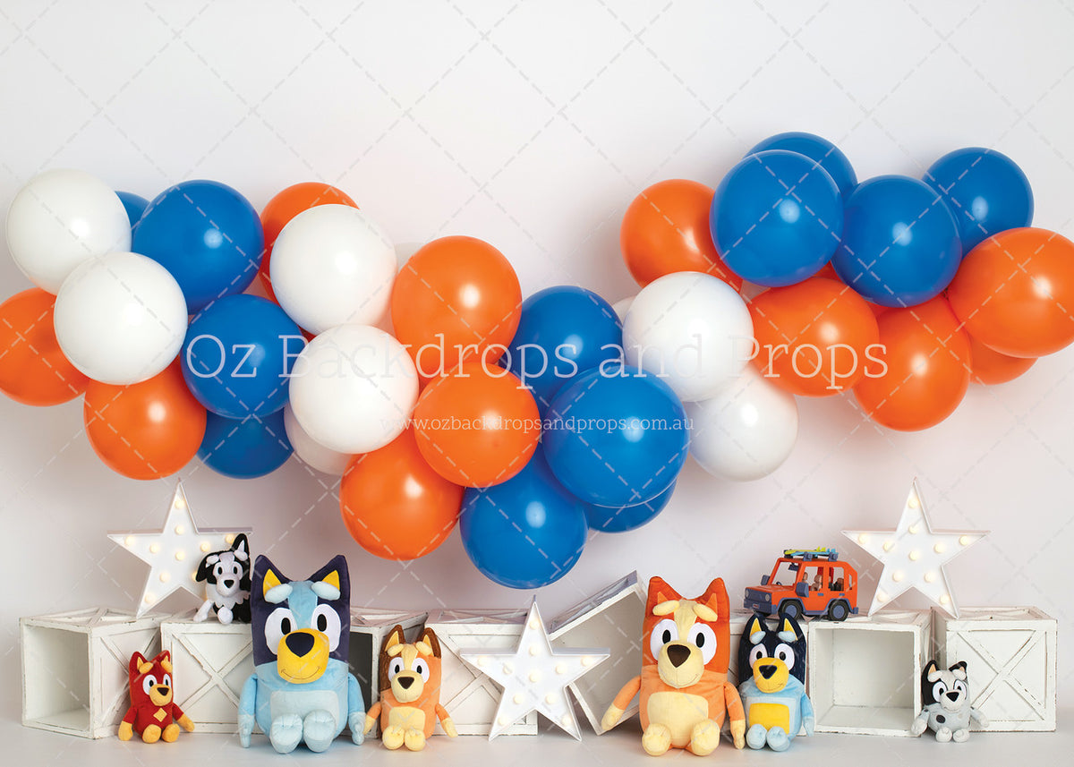 Bluey Family Picnic