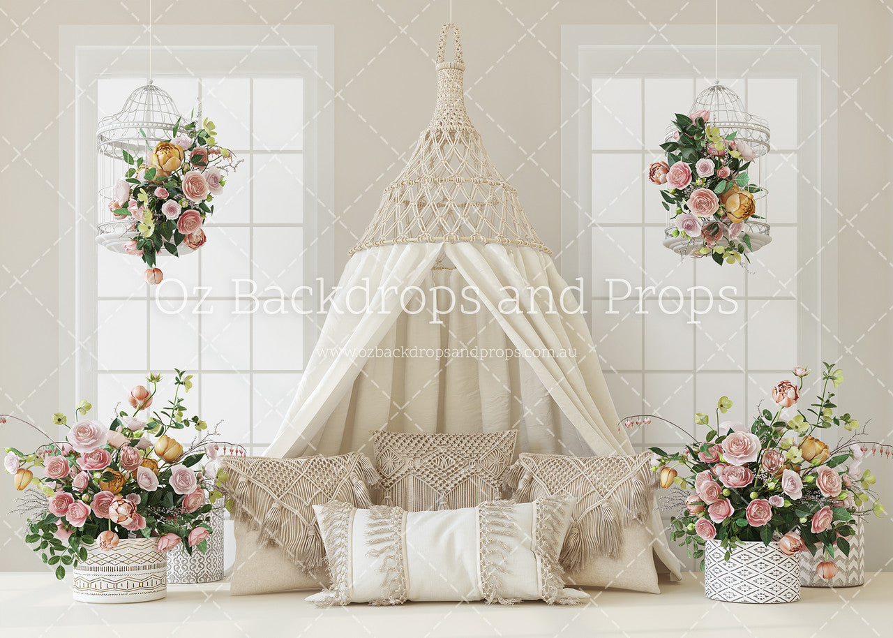 Boho Canopy - Windows