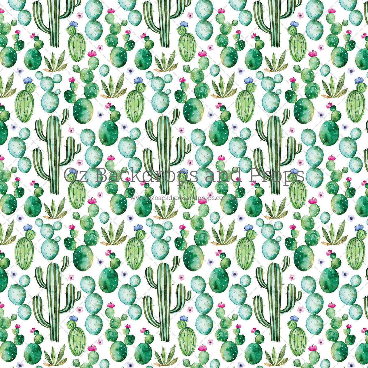 Cactus Theme