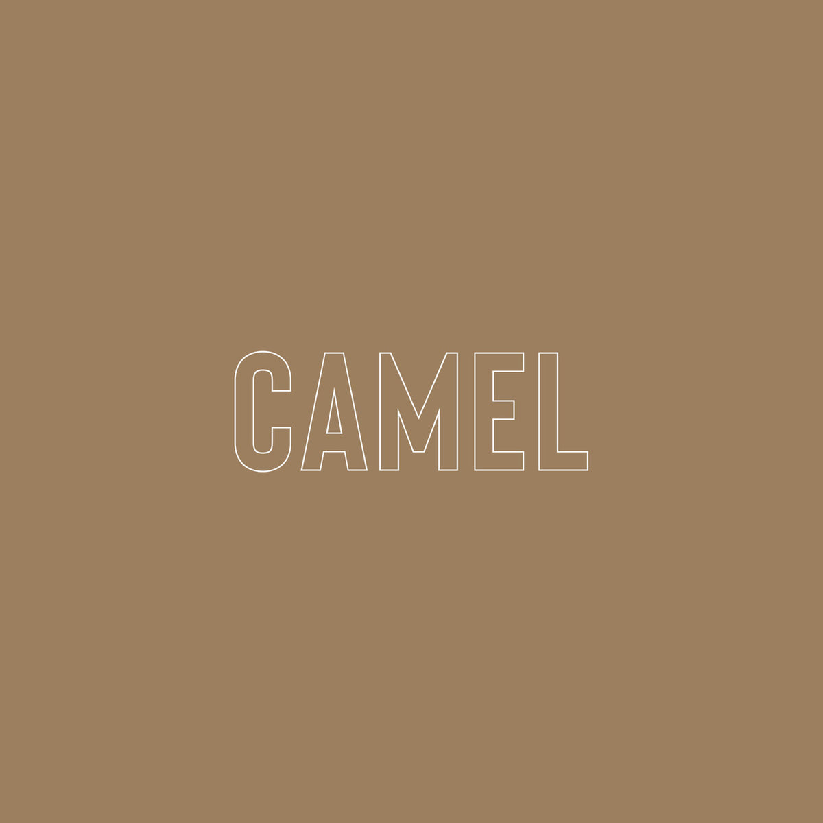 Camel