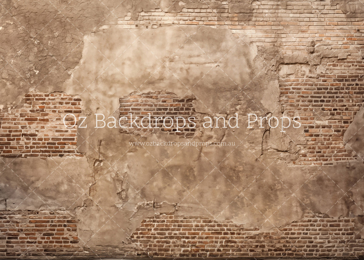 Carmenta Brick Wall