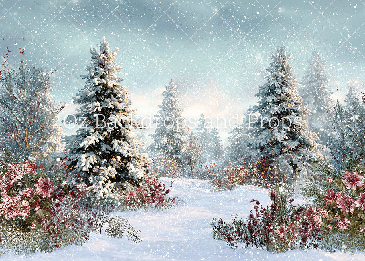Chilly Morning Meadow