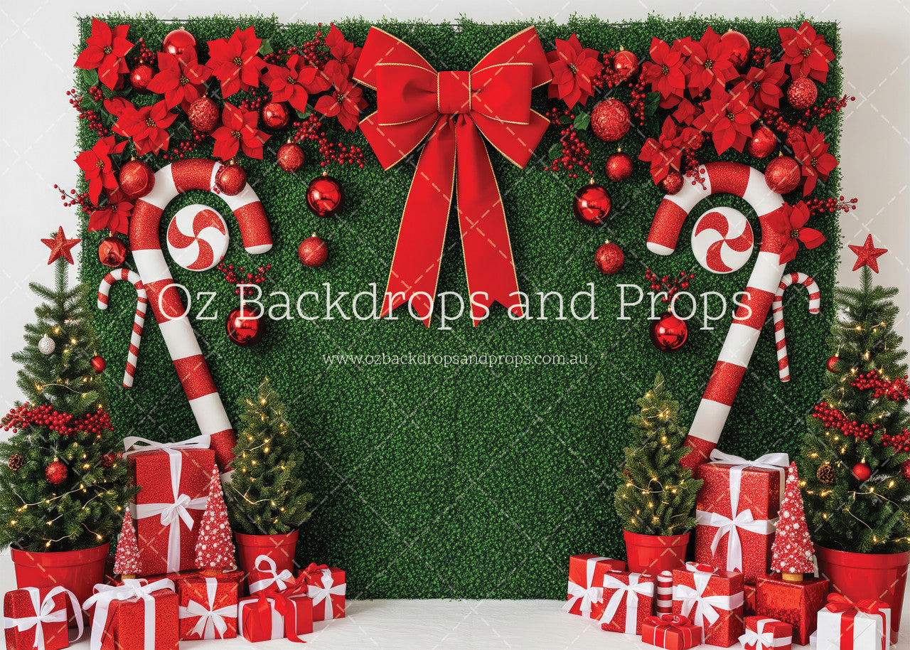 Christmas Greenery Wall