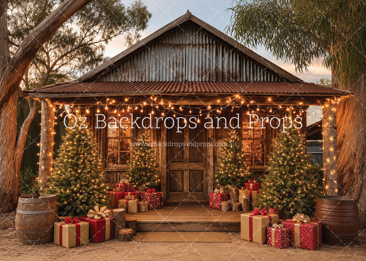 Christmas in Birdsville