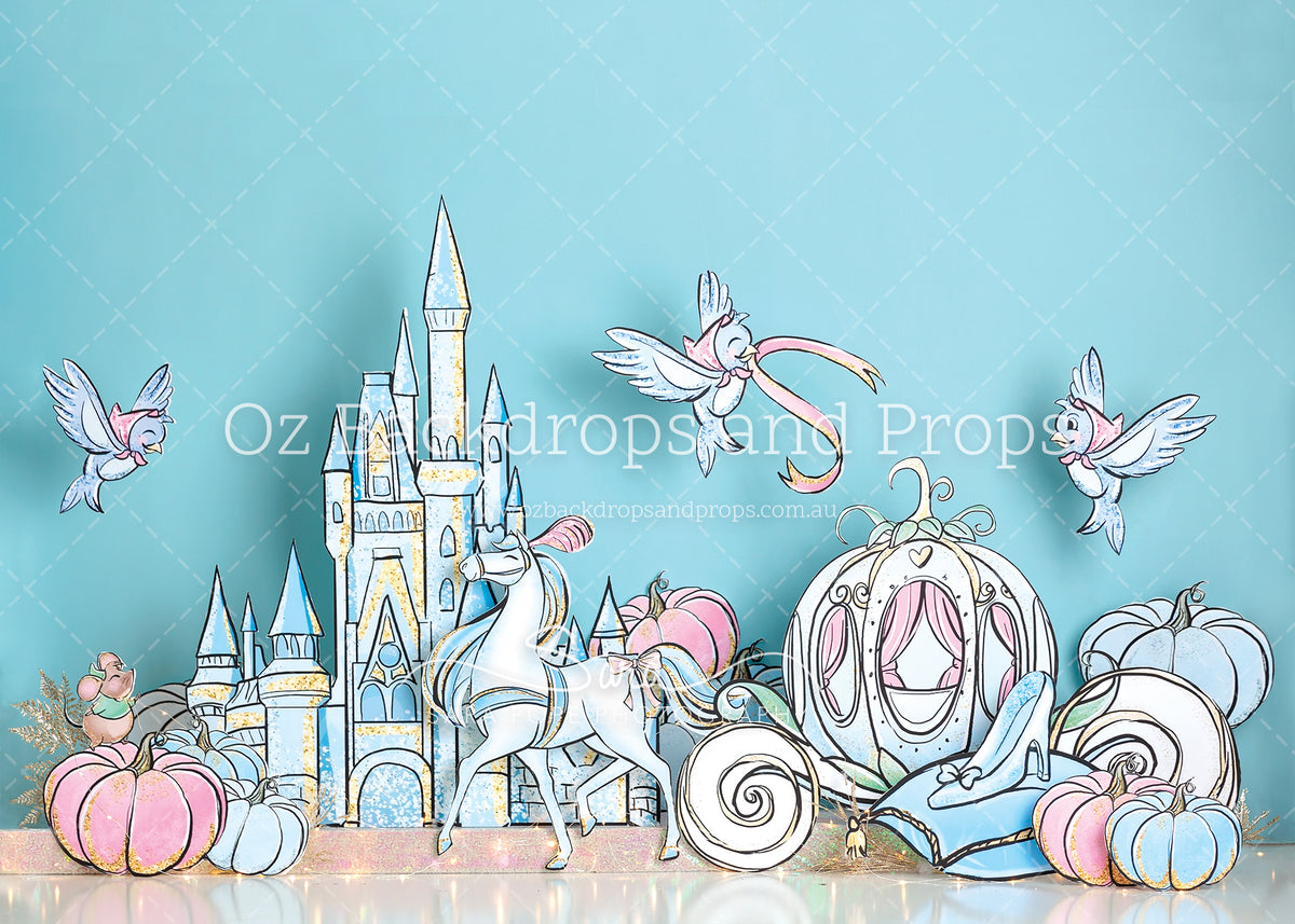 FLEECE 1.5x2.1m Cinderella Inspired