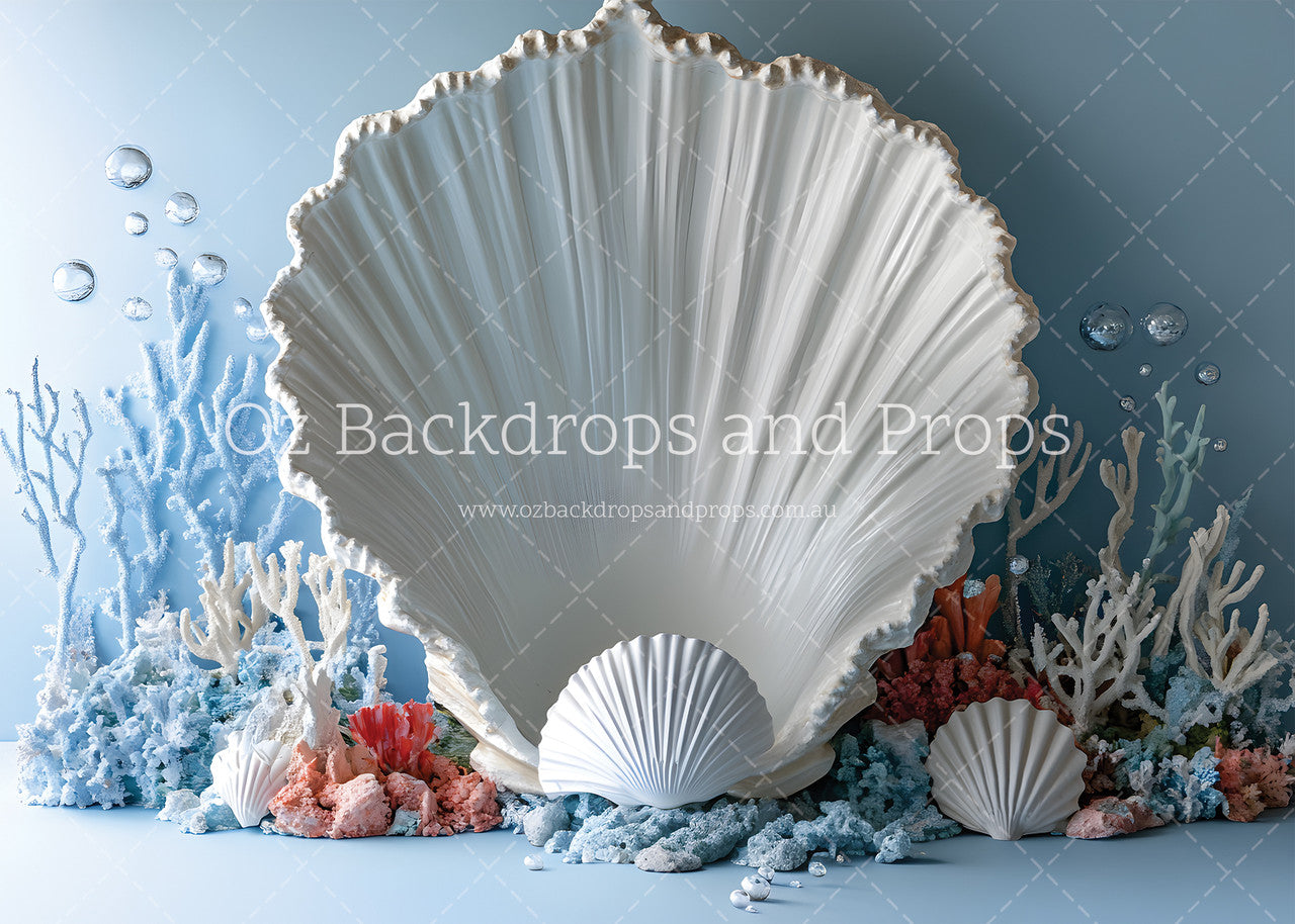 Clam Shell Collection