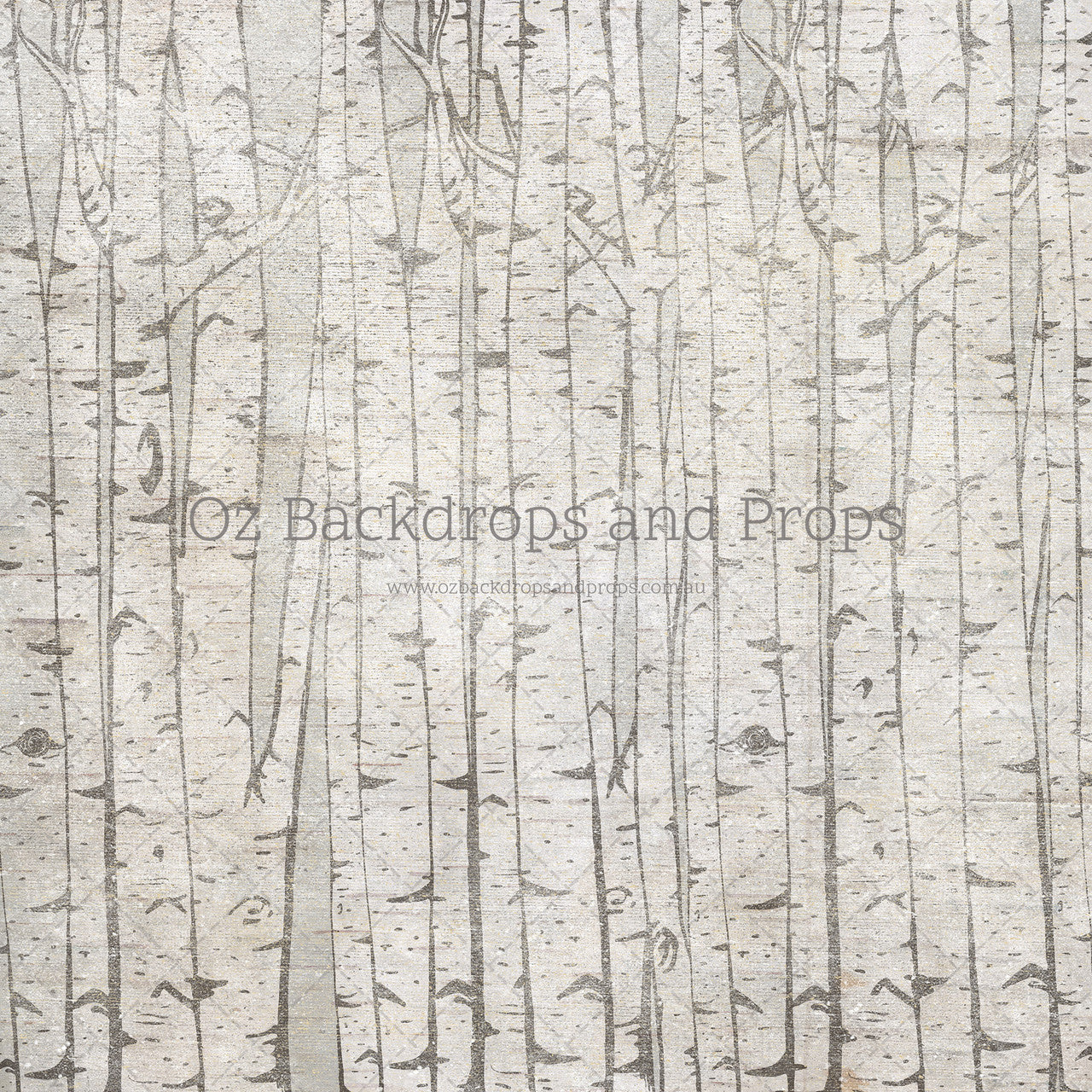 Classic Birch Trees