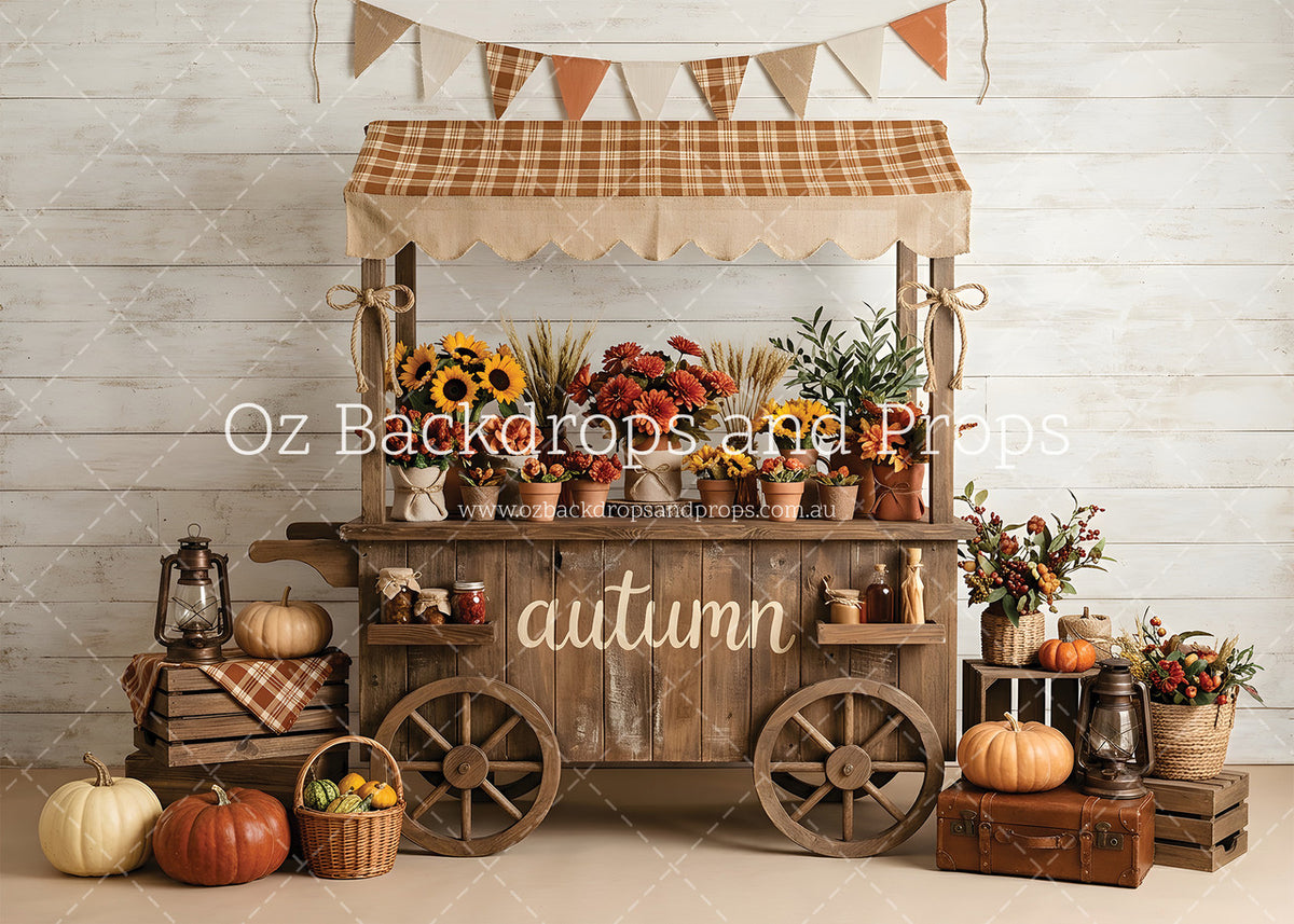 Comfort Cart