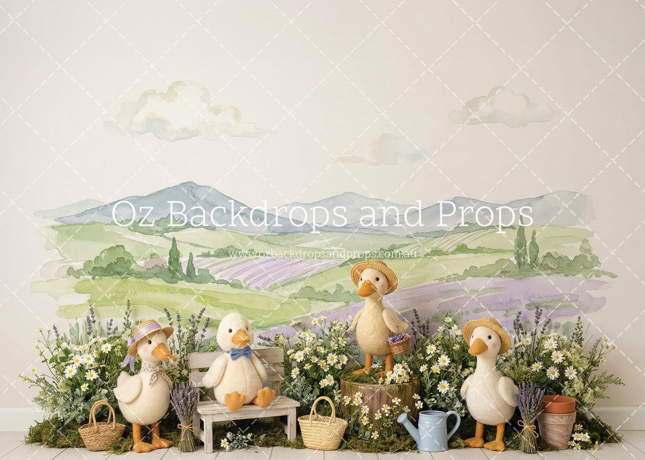 Country Ducks