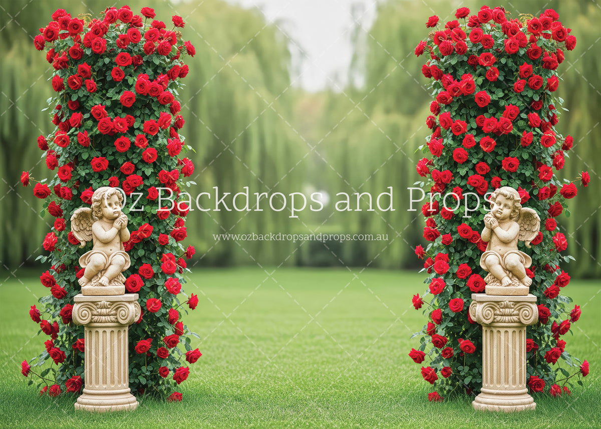 Cupid's Roses