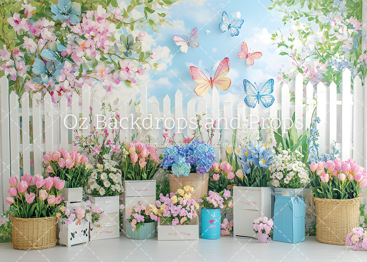 Cutesy Butterflies