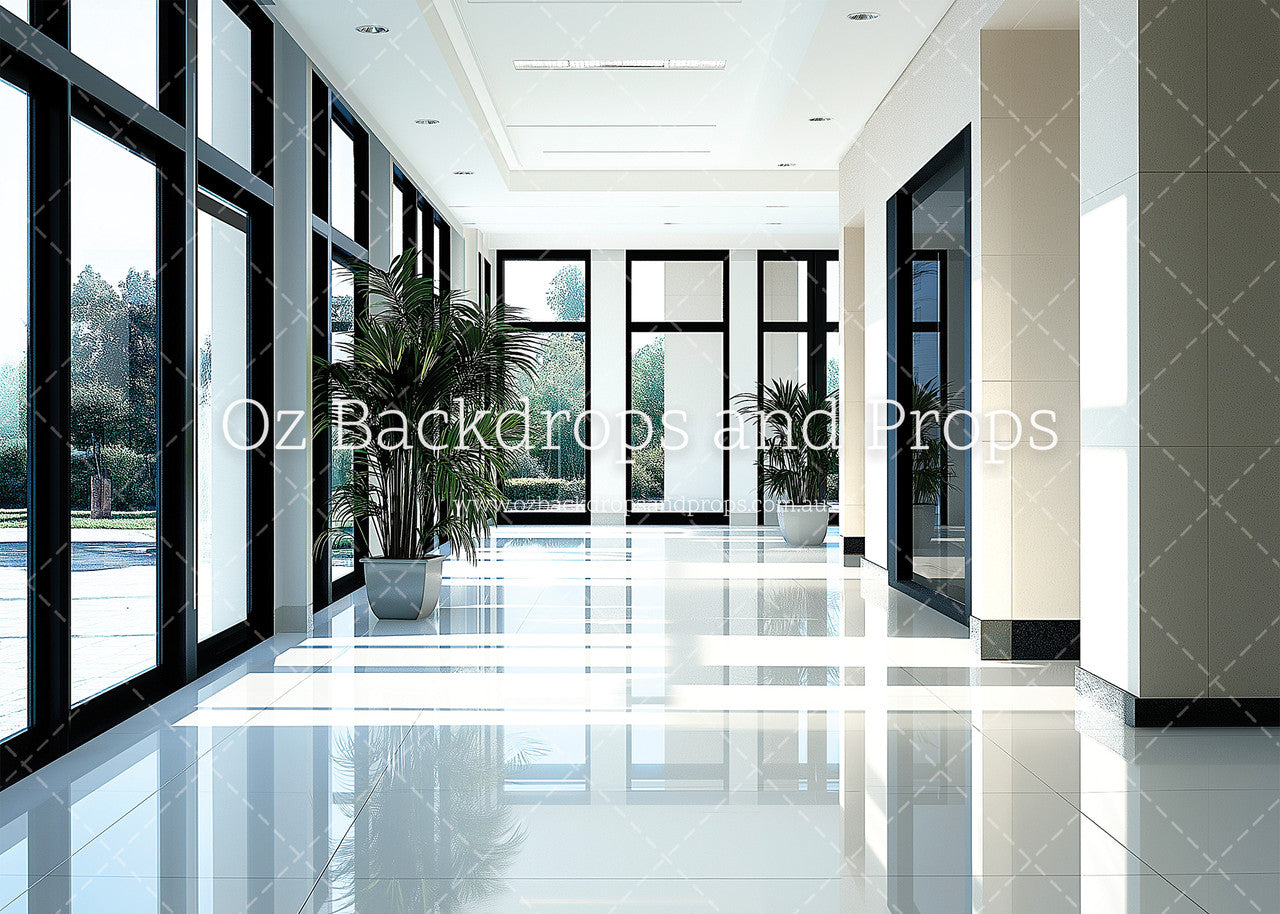 Elegant Office Entry