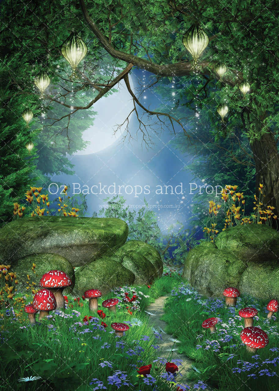 Enchanted Forest