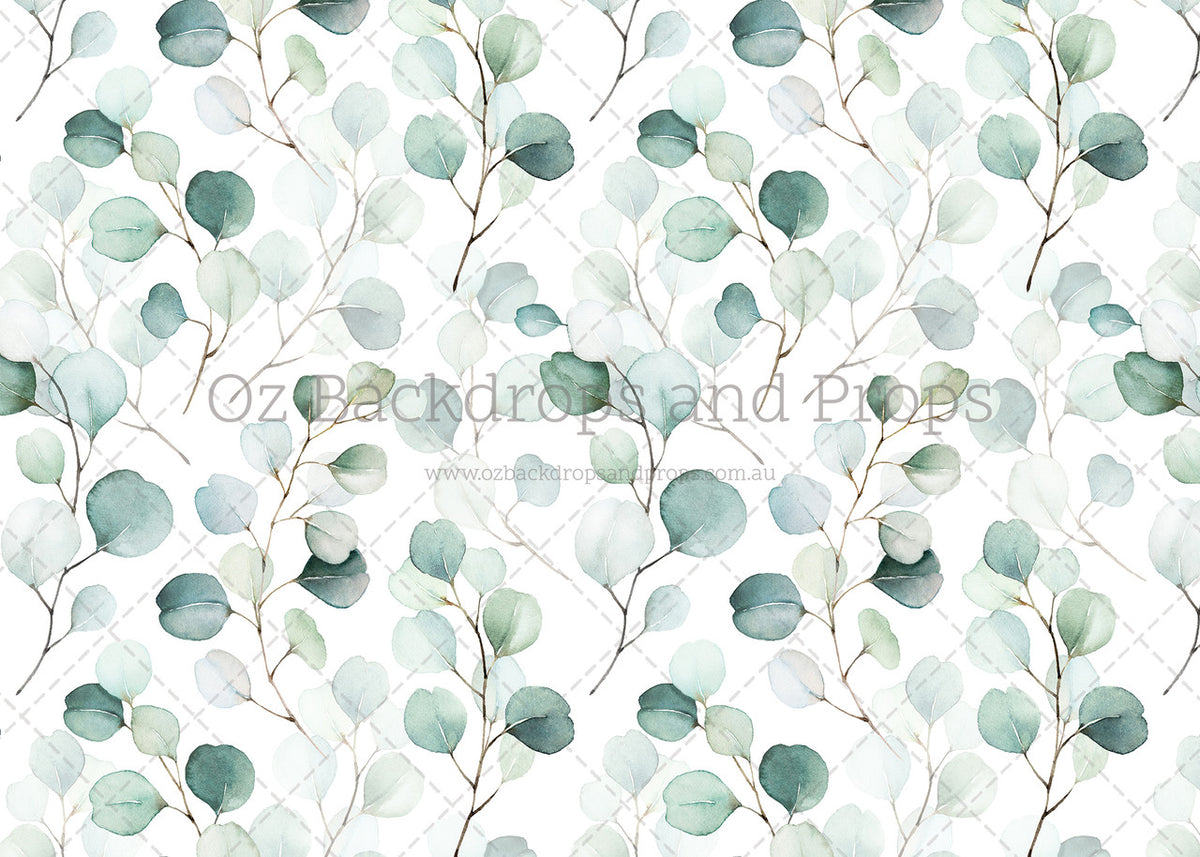 Eucalyptus