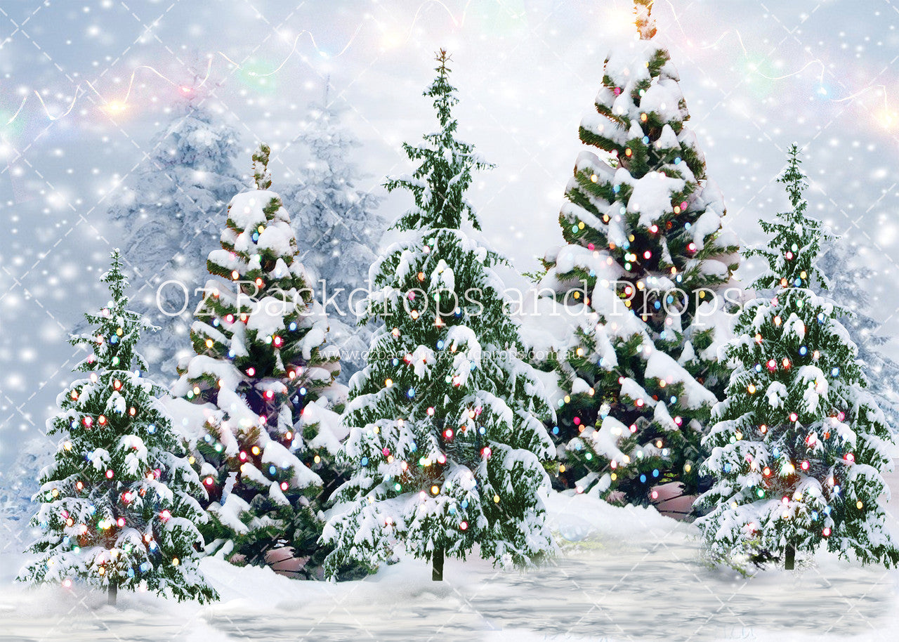 Fairy Light Pines
