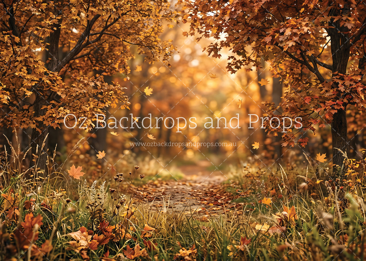 Fall Forest Walk