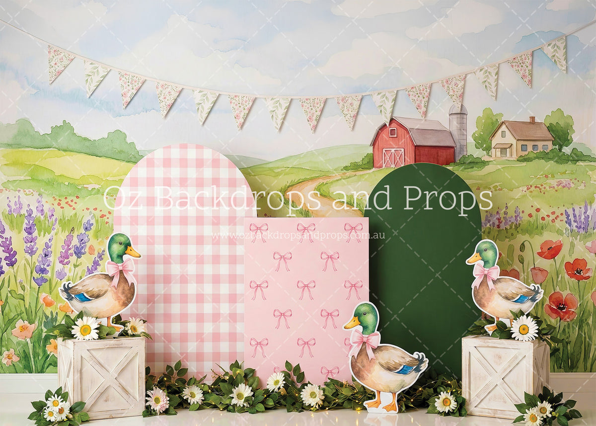 Farm Ducks