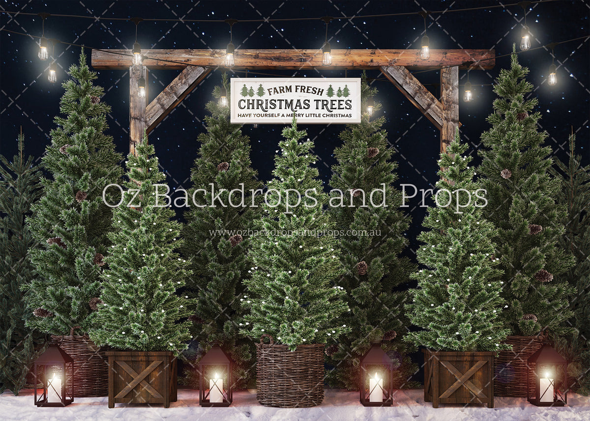 Farm Fresh Christmas Trees