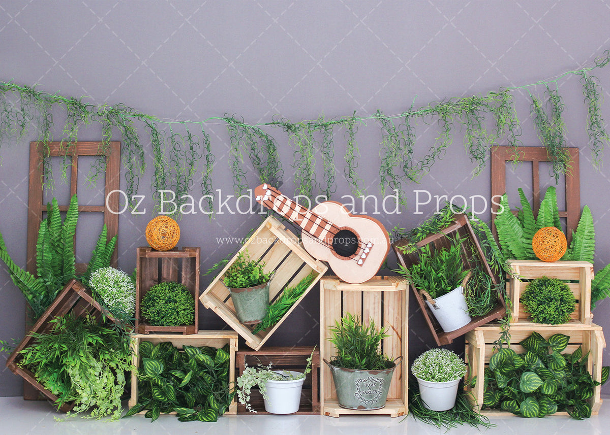 Ferns Galore