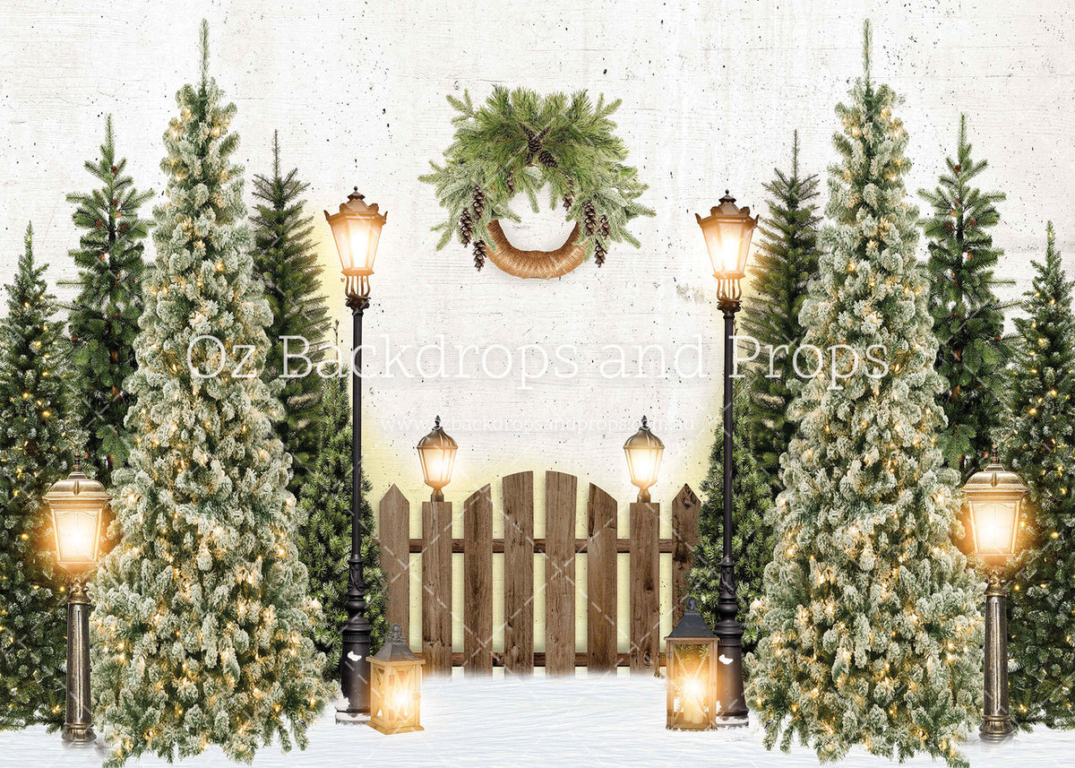Festive Fir Trees