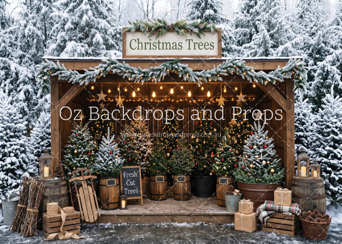 Fresh Cut Christmas Trees