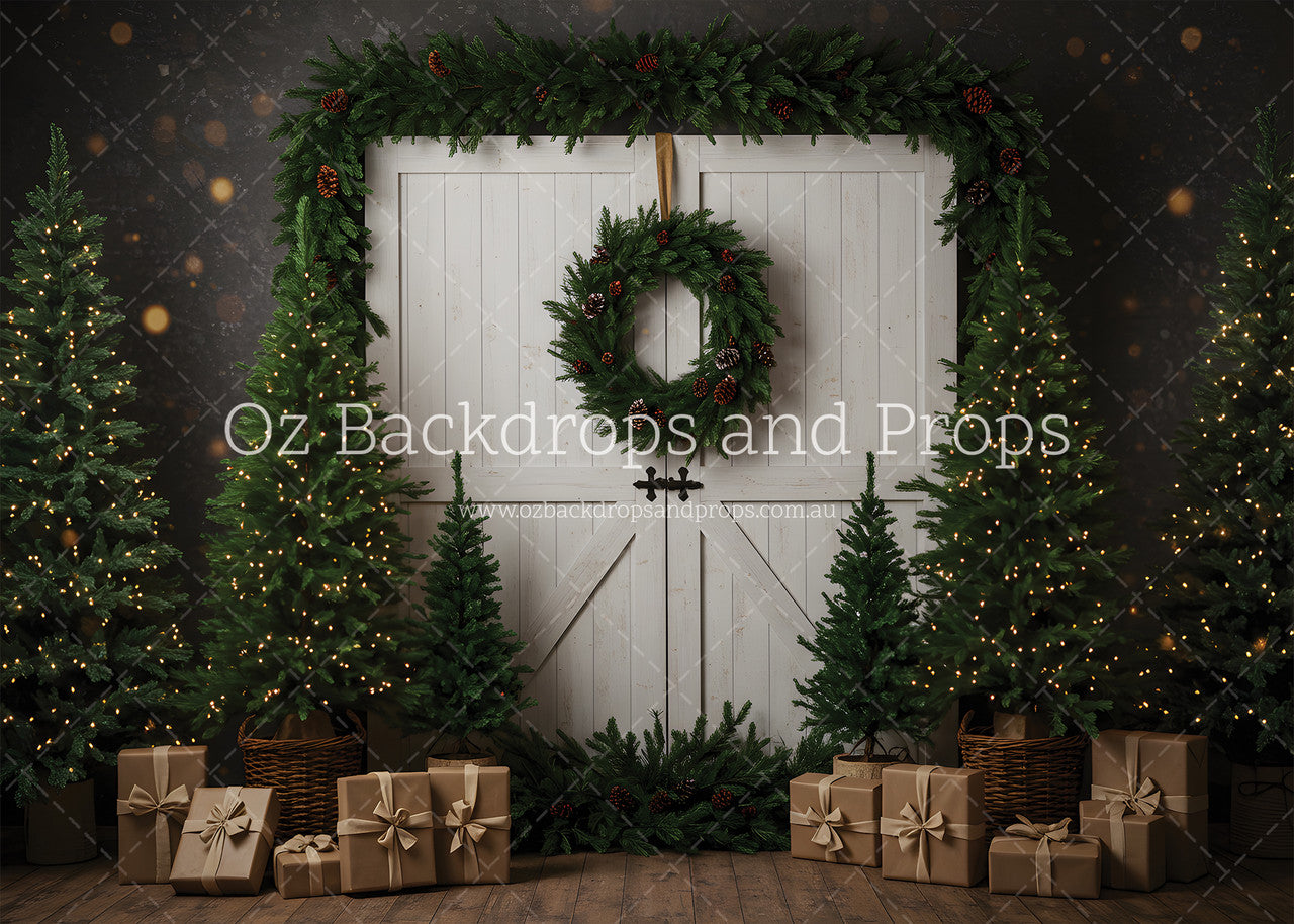 Goodwill Barn Door