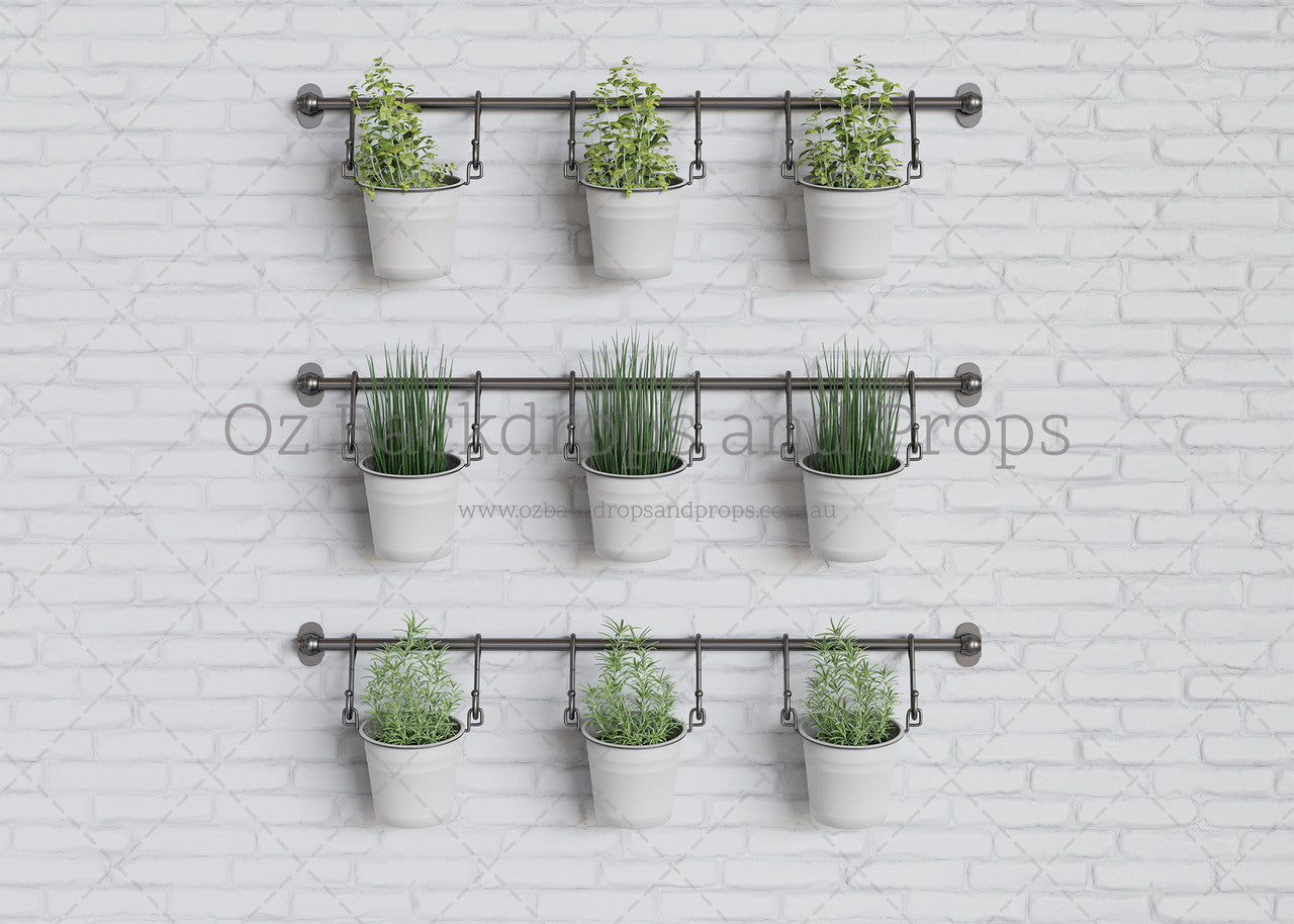 Hanging Herbs