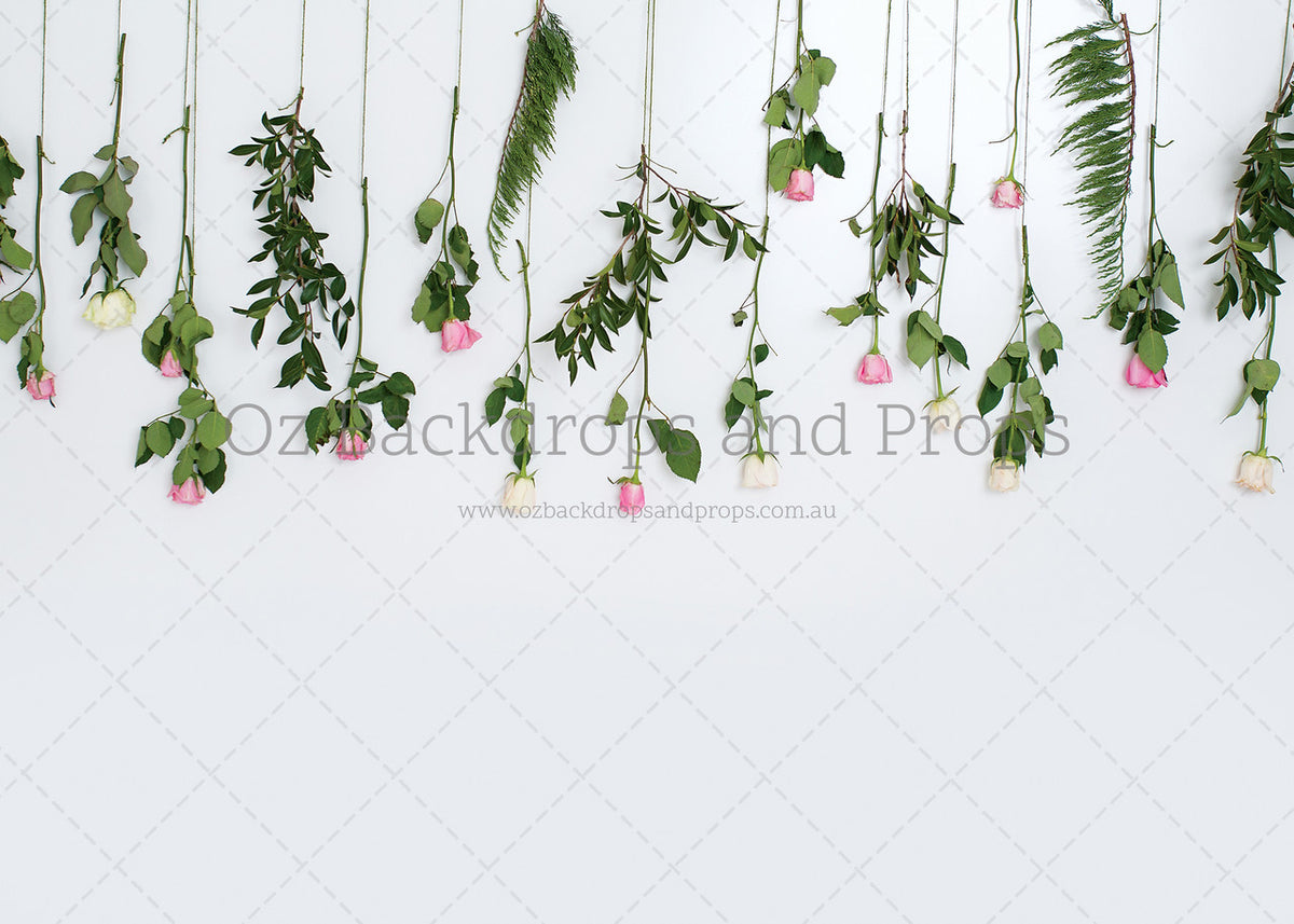 Hanging Roses